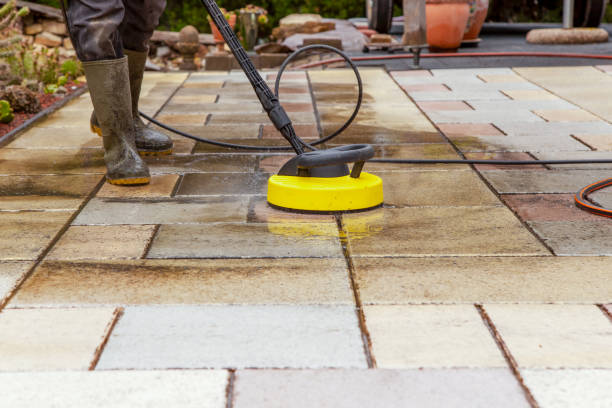 Animal Enclosure Cleaning in Leonard, TX