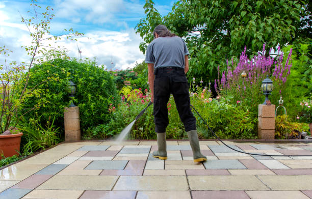 Best Sidewalk and Walkway Cleaning  in Leonard, TX