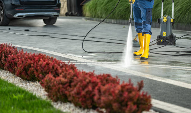 Best Roof Washing  in Leonard, TX
